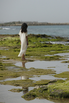 A person walking across shallow water at low tide